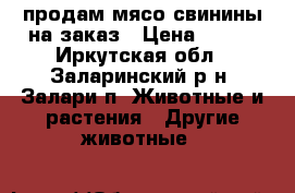 продам мясо свинины на заказ › Цена ­ 240 - Иркутская обл., Заларинский р-н, Залари п. Животные и растения » Другие животные   